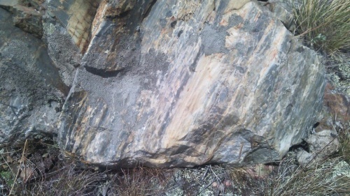 Гигантские зелёные валуны для ландшафтного дизайна весом более 5 тонн купить в Шатуре